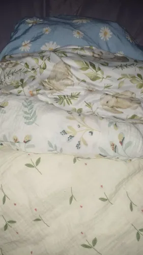 Lotinho bebê menina