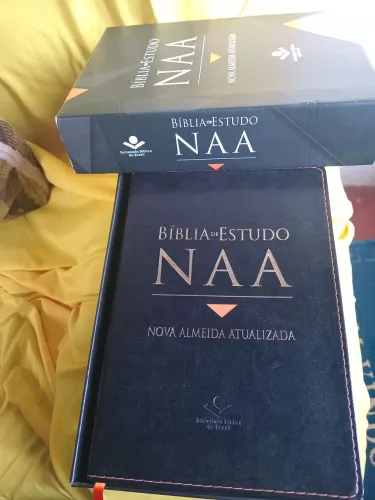 Blibia de estudo NAA