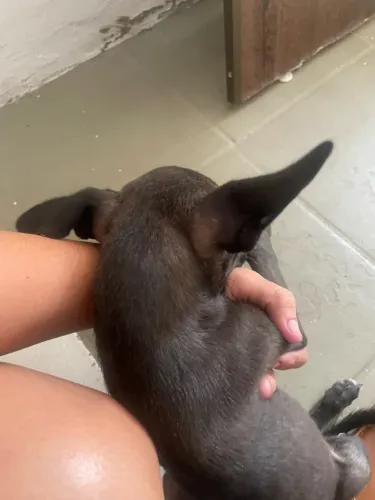 Doação