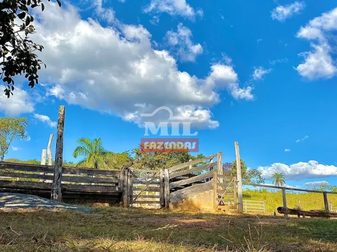 Fazenda entre Itapuranga e Goias velho GO - 28.5 alqueires (137,94 ha)