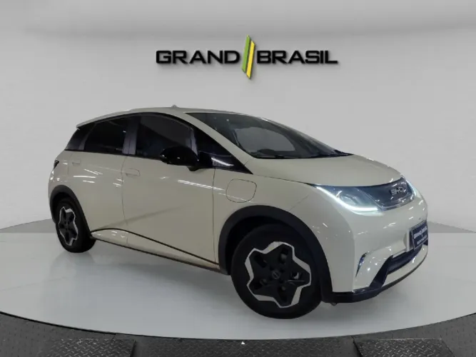 BYD Dolphin EV (Elétrico) 2024