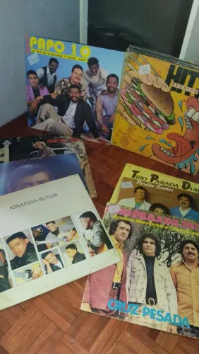 Lote com 17 discos de vinil e 6 avulsos variados.