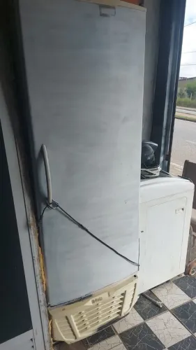 Freezer vertical