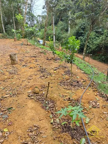 Sítio em Zona Rural de Santa Tereza - Santa Teresa, ES