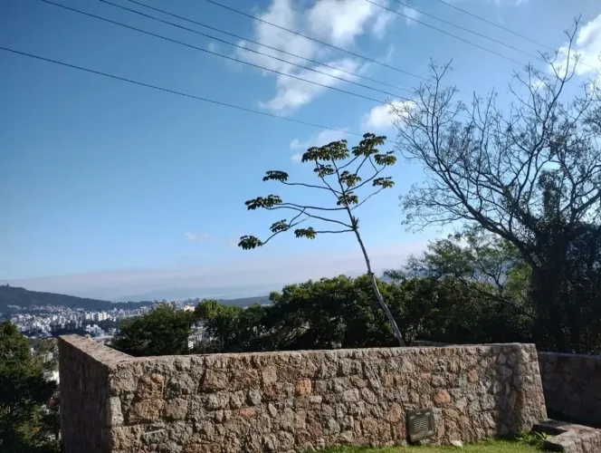 Imóvel para venda possui 534 metros quadrados em Córrego Grande - Florianópolis - SC