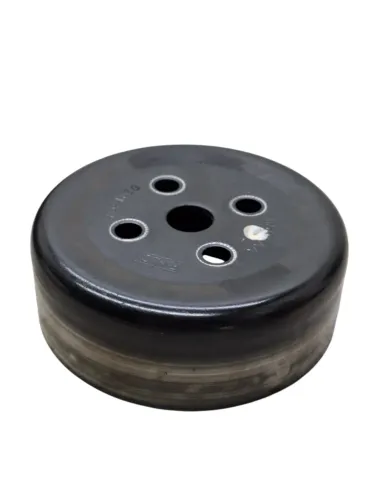 Polia Bomba Dágua Ford New Fiesta 1.6 2015/2016 Nm321h5g