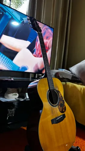 Takamine G230