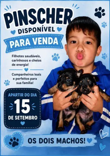 Pinscher mini 