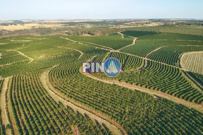 Fazenda de soja para venda em Goiás