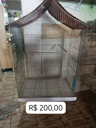 Viveiros