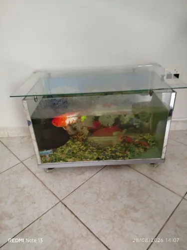 Aquario 70 litros