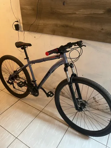 Bike Aro 29