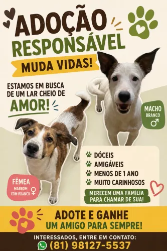Adoção 