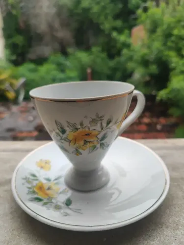 elegante xícara com piris porcelana branca fina schimidt tema floral