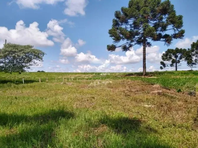 Terreno Rural - Caçador/SC 