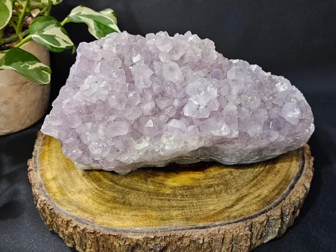 Drusa de ametista lavanda tamanho grande
