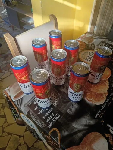 Cervejas sem álcool Bwdewaiser 350 ML (LATÃO)