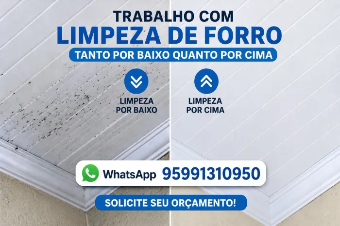 Limpeza de forro