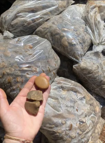 Seixos de rio