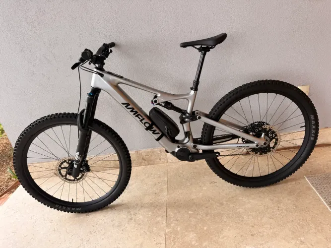 Ebike Amflow PL carbon M 