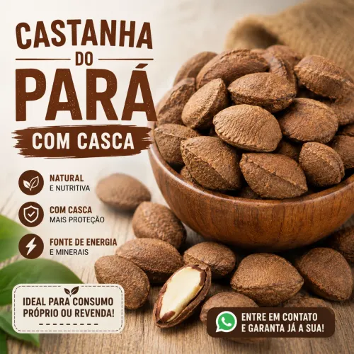 Castanha do pará com casca