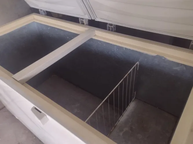 Freezer Electrolux Funcionando Perfeitamente