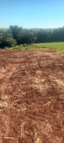 Vendo sítio em Bela Vista do Paraíso (PR)