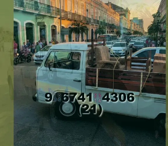 Frete é aqui! Você precisa de transporte rápido e seguro?
