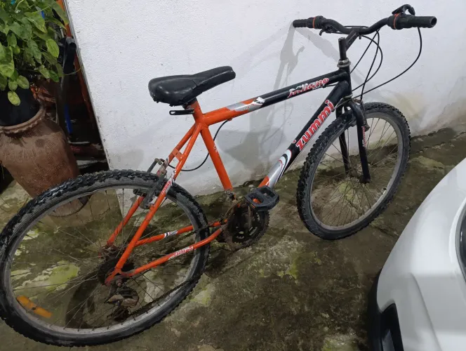 Bicicleta Zummi Aro 24