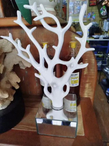 Decoração estilo coral