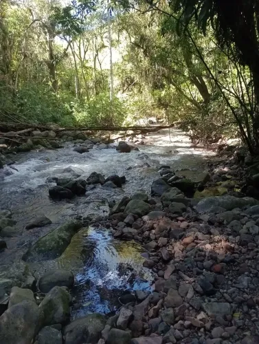 Sítio 5 hectares com riacho