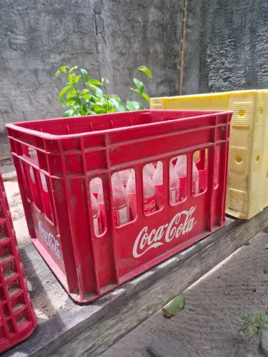 Grade de coca cola KS