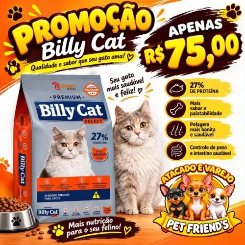Ração billy cat mega oferta
