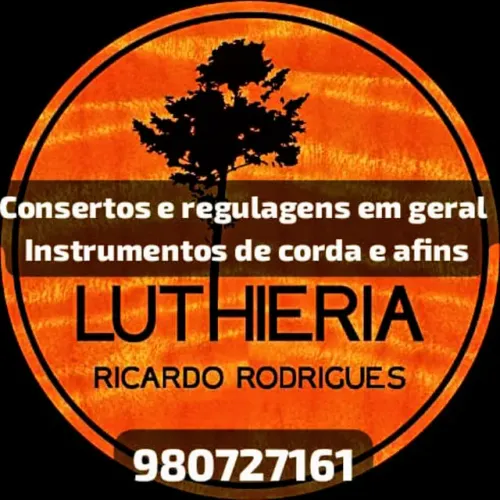 Ricardo Rodrigues luthieria 
