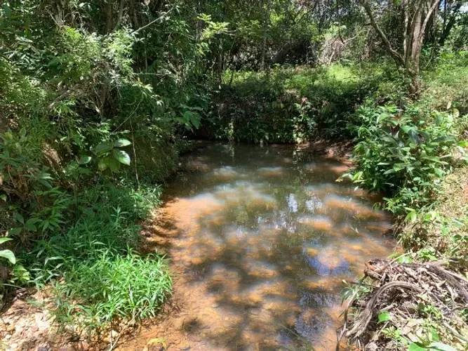 Terreno 4.5 ha, 100% formado em pastagem, agua corrente nos fundos, pomar.