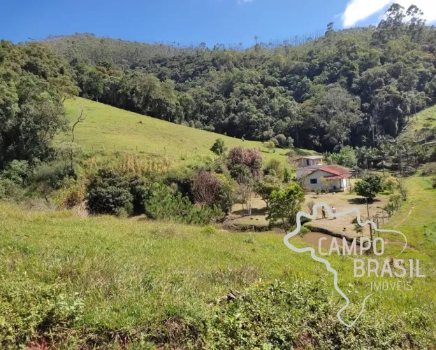 FAZENDA 60 ALQUEIRES COM PLANTAÇÃO DE EUCALIPTO EM SALESÓPOLIS!