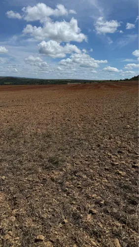 Fazenda de 654 hectares