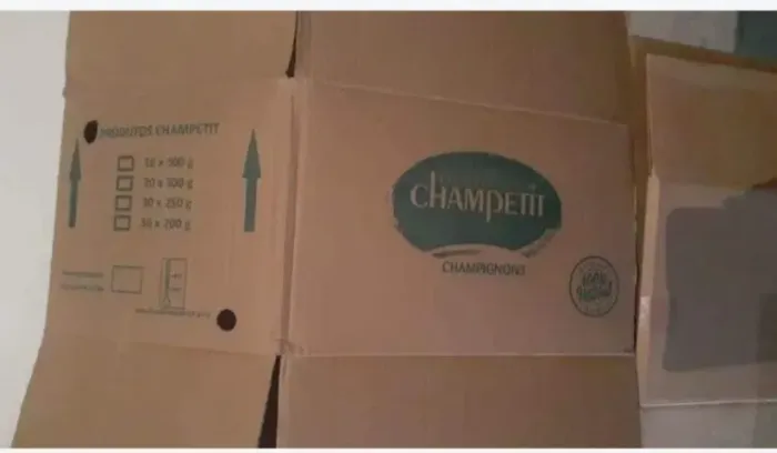 Caixa de papelão para mudança
