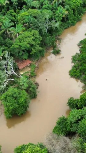 Fazenda de 40 alqueires Santa Tereza-GO