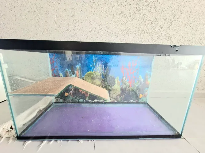 ? Aquaterrário 115 Litros - Espaçoso e Perfeito para Tartarugas e Aquapaisagismo! ?<br>