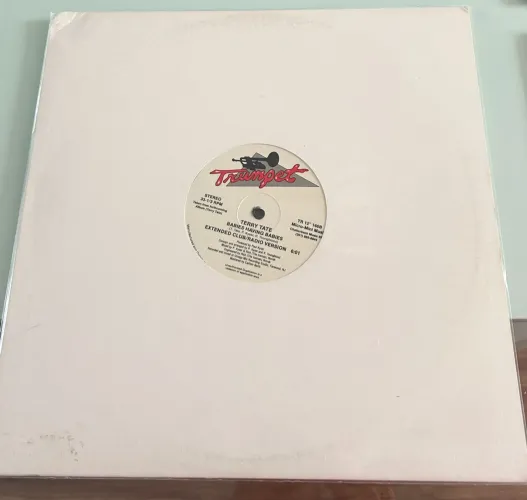 Disco de Vinil Terry Tate Babies having babies