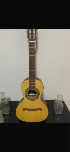 Viola Caipira Cinturada Giannini Eletrica Imbuia 100% Brasil 