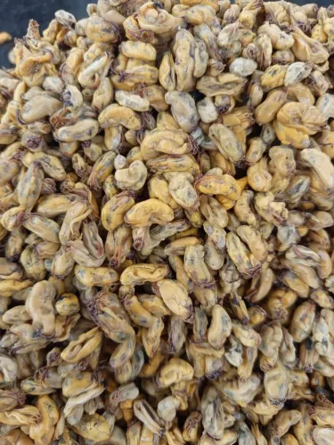 Vem garantir teu sururu Aparti de (10)kg