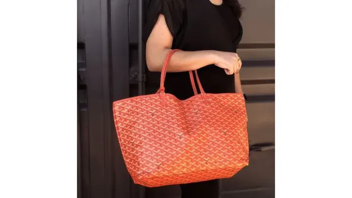 Bolsa Goyard
