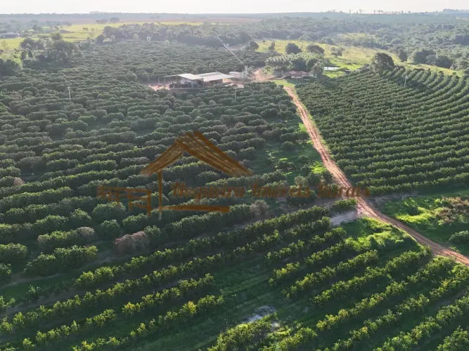 Fazenda à venda com 50,50 alqueires em Ubirajara-SP