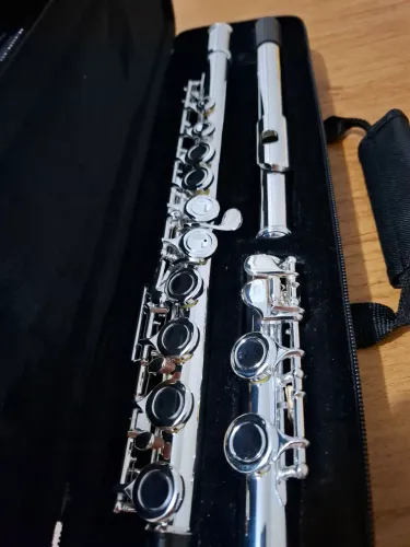 Flauta Transversal Michael (instrumento novo)