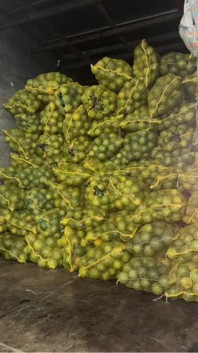Venda de Laranja e Tangerina Regional
