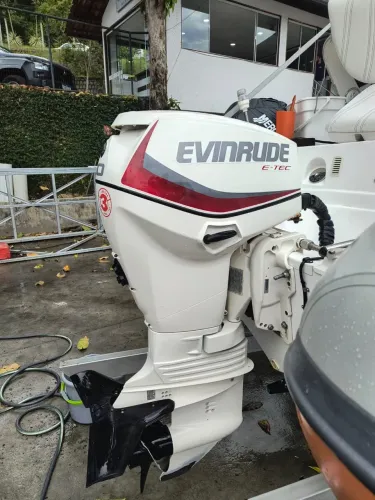 Motor 60hp Evinrude E-TEC >> 127h