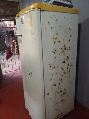 Geladeira  cons usada mais funciona surpe bem motor