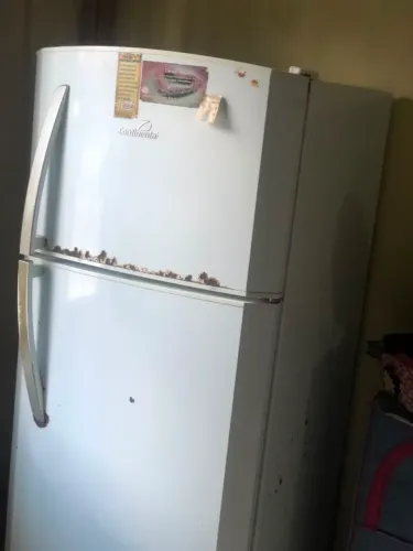 Geladeira